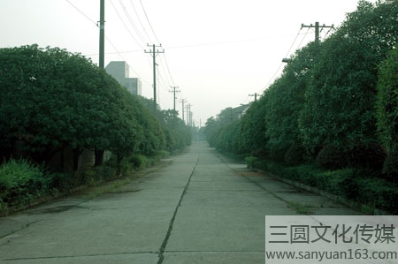 優(yōu)雅的環(huán)境